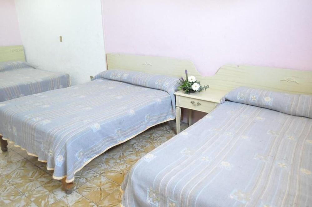 Hotel Viena Irapuato Buitenkant foto