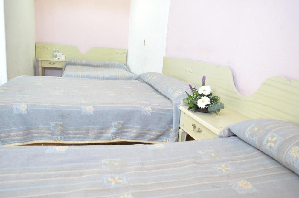Hotel Viena Irapuato Buitenkant foto