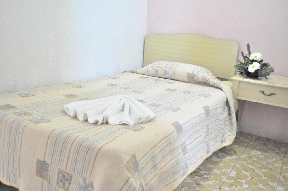 Hotel Viena Irapuato Buitenkant foto